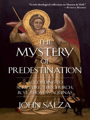 cover image of The Mystery of Predestination